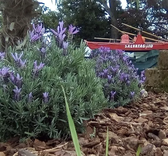 Vendégház Serafini